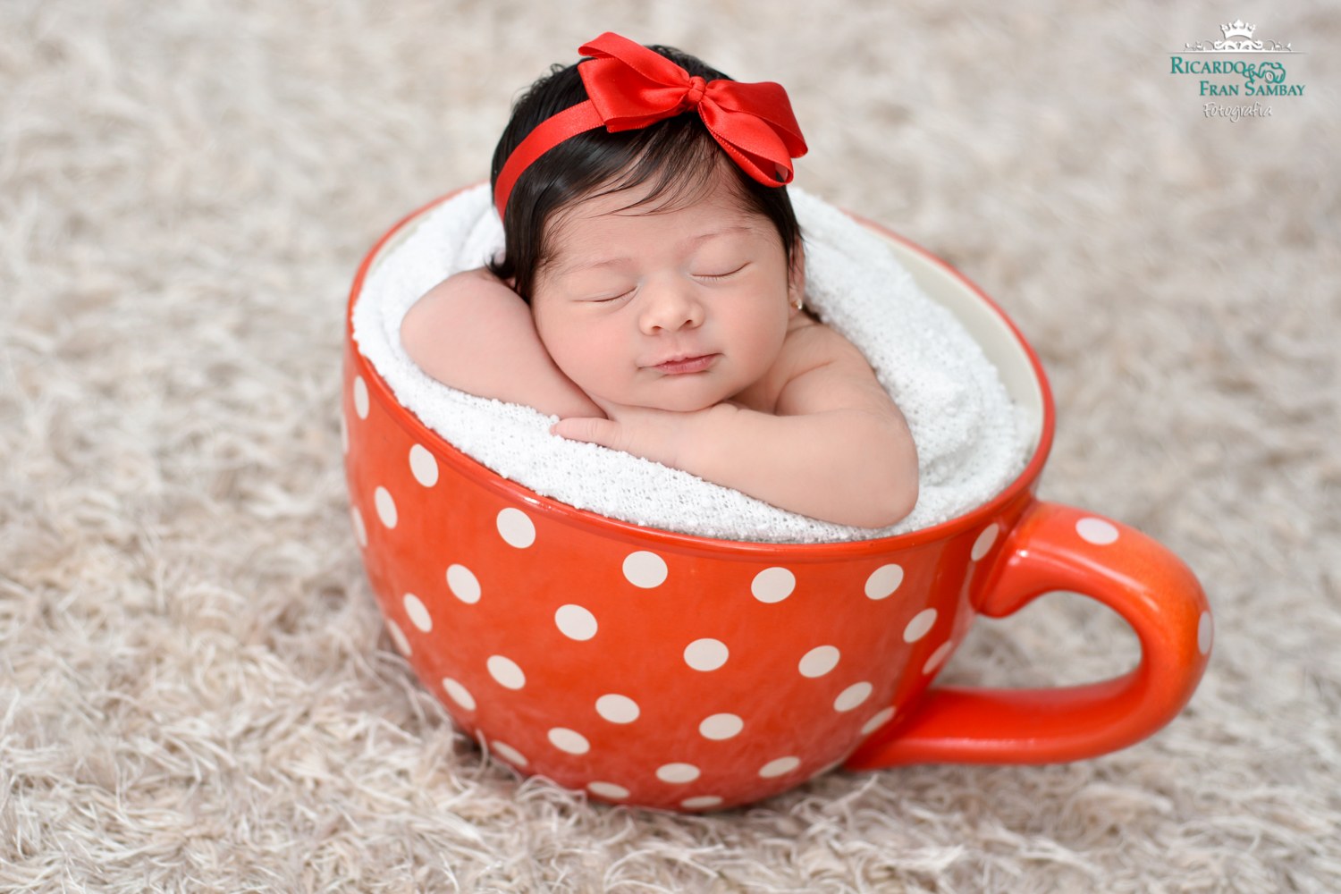 Newborn Meninas — Ricardo e Fran Sambay Fotografia
